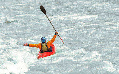 Local Business Must (and Can) Ride the Economic Rapids